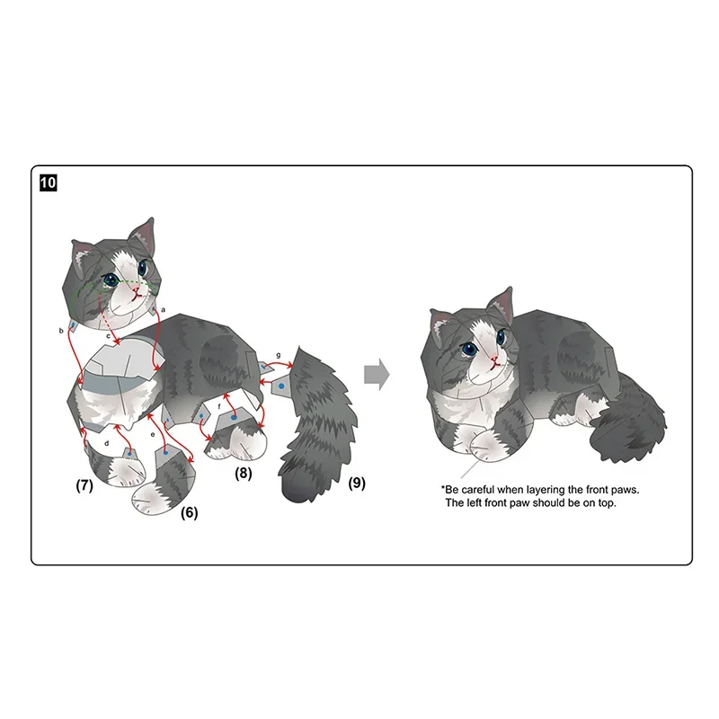Norwegian Forest Cat Folding H - Art Craft Cardboard ulasan dan harga