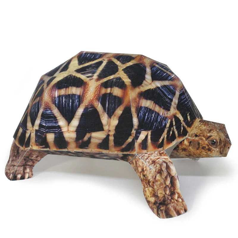 Indian Star Tortoise Paper Mod - Art Craft Cardboard ulasan dan harga