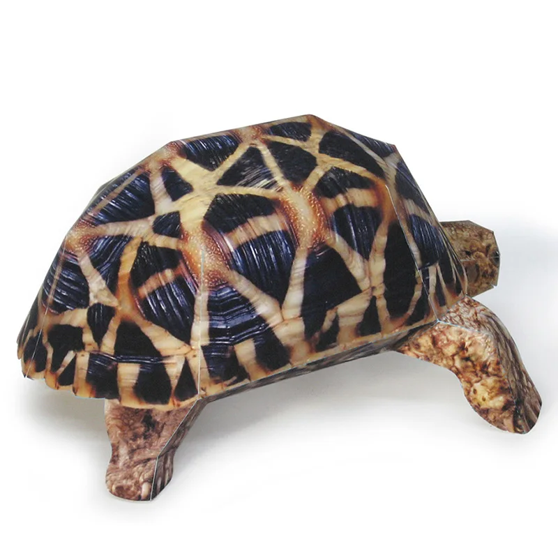 Indian Star Tortoise Paper Mod - Art Craft Cardboard ulasan dan harga